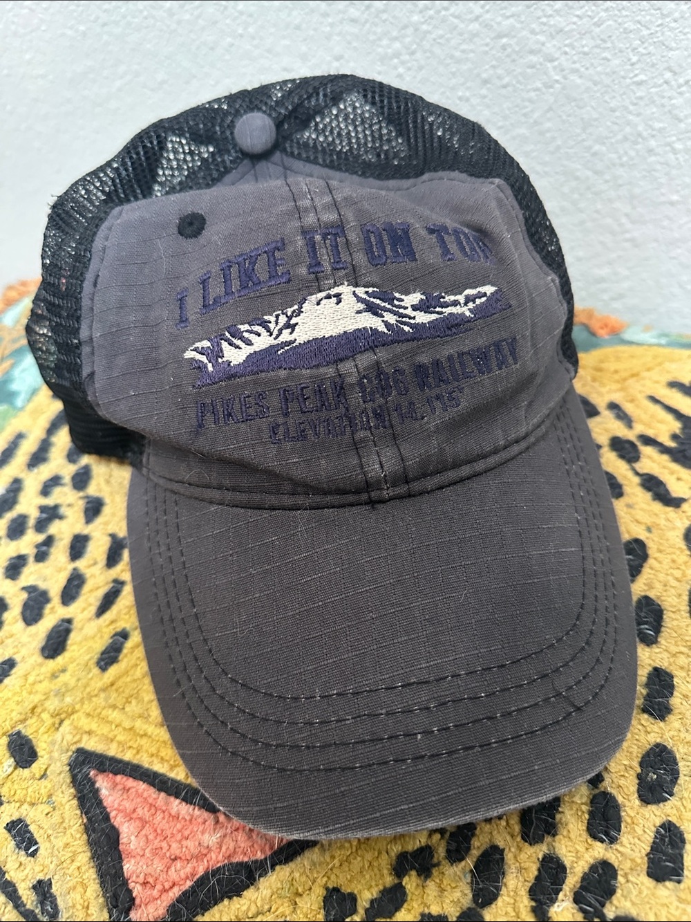 Gray Mesh Trucker Hat with Embroidered Mountain